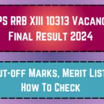 IBPS RRB XIII 10313 Vacancy Final Result 2024_20250407_092016_0000